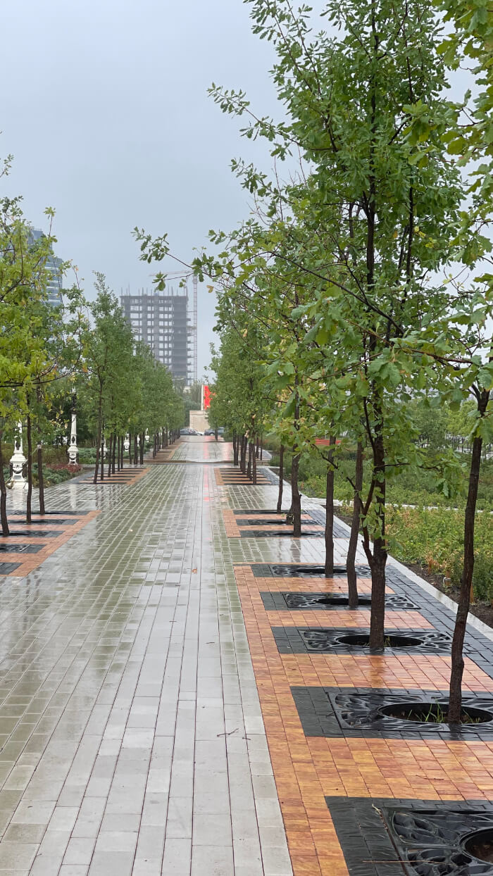 Приствольная решетка для дерева ZKING CRUST 1.2х1.2м Черная в Аксае фото